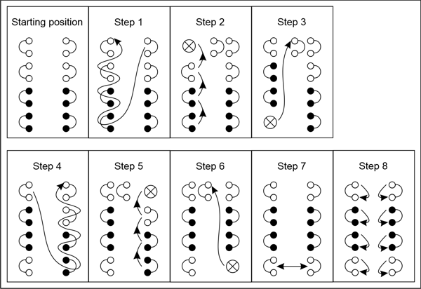 Braid chart